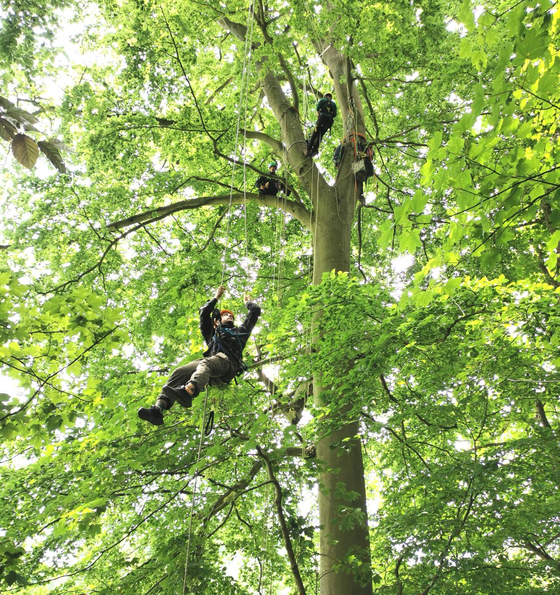 James Aldred tweet media