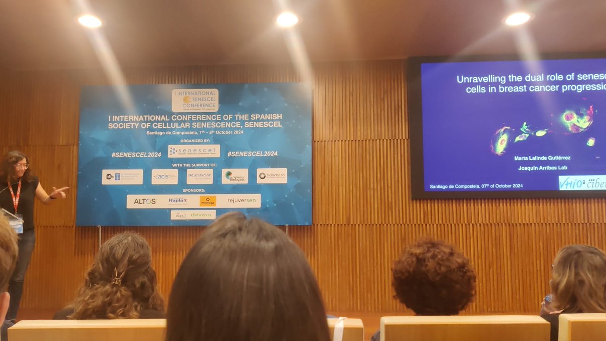 Sociedad SENESCEL (@senescel) on Twitter photo Marta Lalinde, from <a href="/joaquinarribas/">Joaquín Arribas</a> lab at <a href="/VHIO/">Vall d’Hebron Institute of Oncology (VHIO)</a> presents a new model to track/kill senescent cells in vivo, the PyMT/SuSe mice. #SENESCEL2024, Marta Lalinde, from <a href="/joaquinarribas/">Joaquín Arribas</a> lab at <a href="/VHIO/">Vall d’Hebron Institute of Oncology (VHIO)</a> presents a new model to track/kill senescent cells in vivo, the PyMT/SuSe mice. #SENESCEL2024,