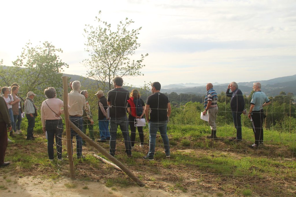 artlivinglab's tweet image. 🏔️The 84 members of #MontesdeCouso develop since 2022 a #mediationprocess together with @nataliabalseiro to imagine the wishes and needs for the future of the territory ➡️ The artistic result of #AsunciónMolinosGordo will be seen this Saturday: artlivinglab.eu/blog/the-artis…
