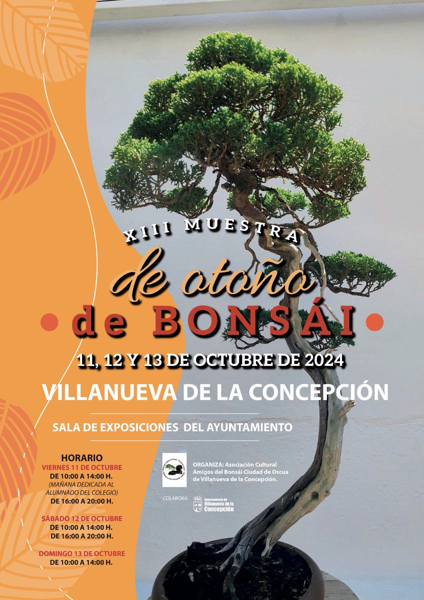 VillanuevaConcepción tweet media
