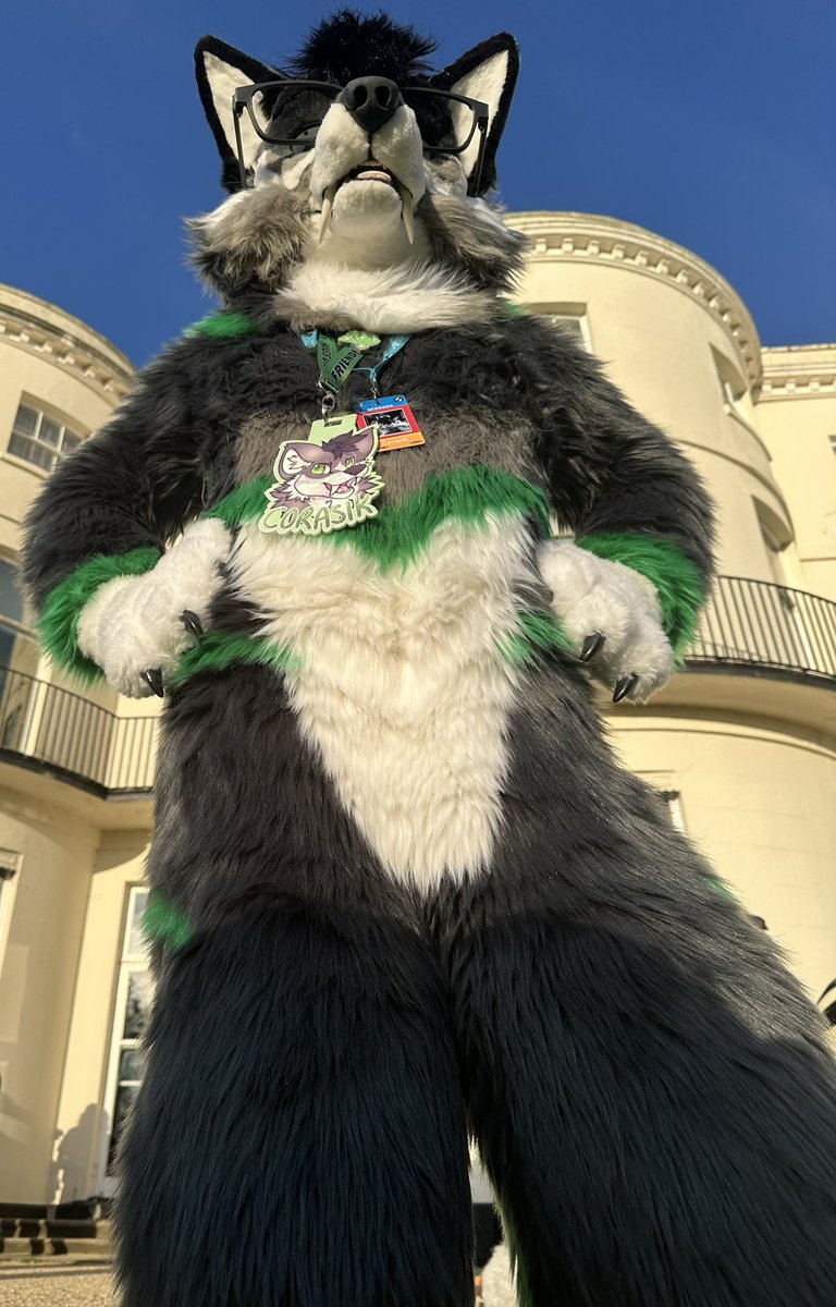 MistyBoo 🔜Scotiacon #795 tweet media