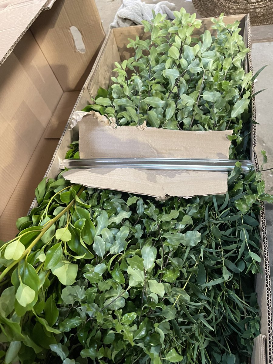 Cornish mixed Foliage boxes very popular with customers today #flowersbyclowance