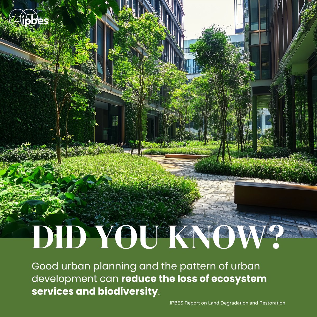 On #WorldHabitatDay, let's remember that unsustainable urbanization threatens global biodiversity 🏙️

Sustainable urban development, including managing &amp; designing urban #biodiversity, is therefore critical for the future of global biodiversity

<a href="/IPBES/">ipbes</a> #LandDegradation Assessment