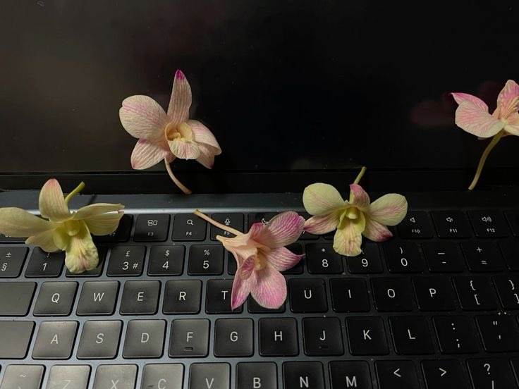 prtygal777's tweet photo. https://t.co/x5etnulH5D