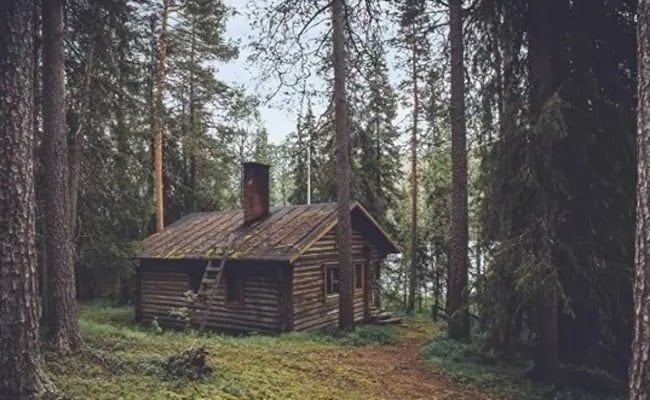 XCNToday's tweet photo. New Post: Only those with the best vision can find hidden gems in this picture https://t.co/QsSULa27uu https://t.co/5rZp6Q78OE