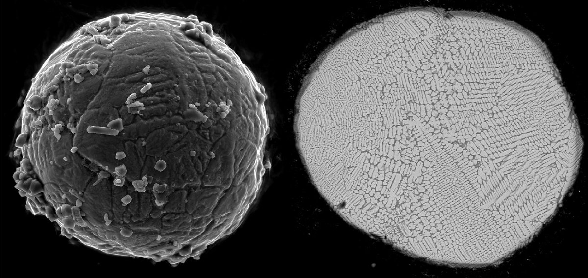 🌠🔍 Did you know that Diamond has helped uncover fossilised micrometeorites which provide valuable insights into the history of our solar system and the evolution of Earth's atmosphere.

📰 Read more here: diamond.ac.uk/Science/Resear…

#WorldSpaceWeek #CosmicDust #SpaceScience