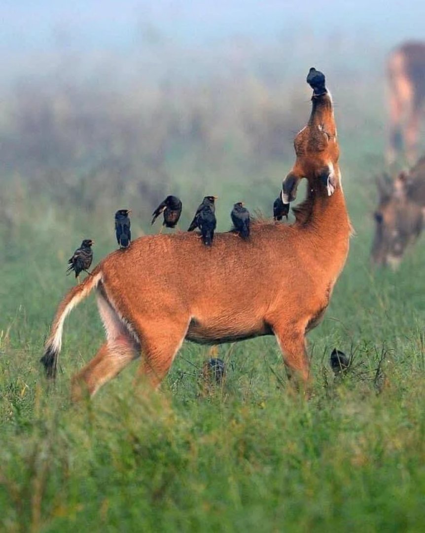 Le Monde de Léo tweet media