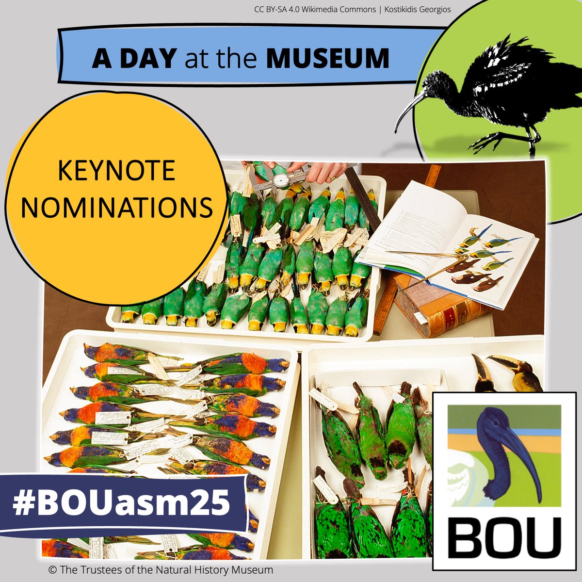 📢 REMINDER

Don't forget to submit your keynote nominations for #BOUasm25

A day at the museum | 18 Nov 2025 | Natural History Museum, London

bou.org.uk/event/a-day-at…

Deadline: 31 Oct 2024 | #ornithology