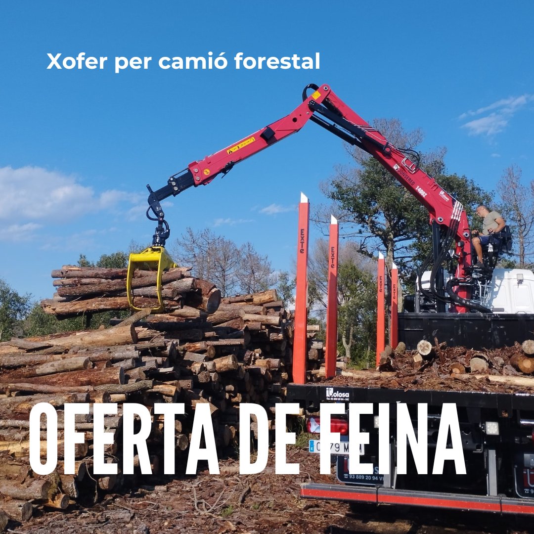 Cooperativa Forestal tweet media