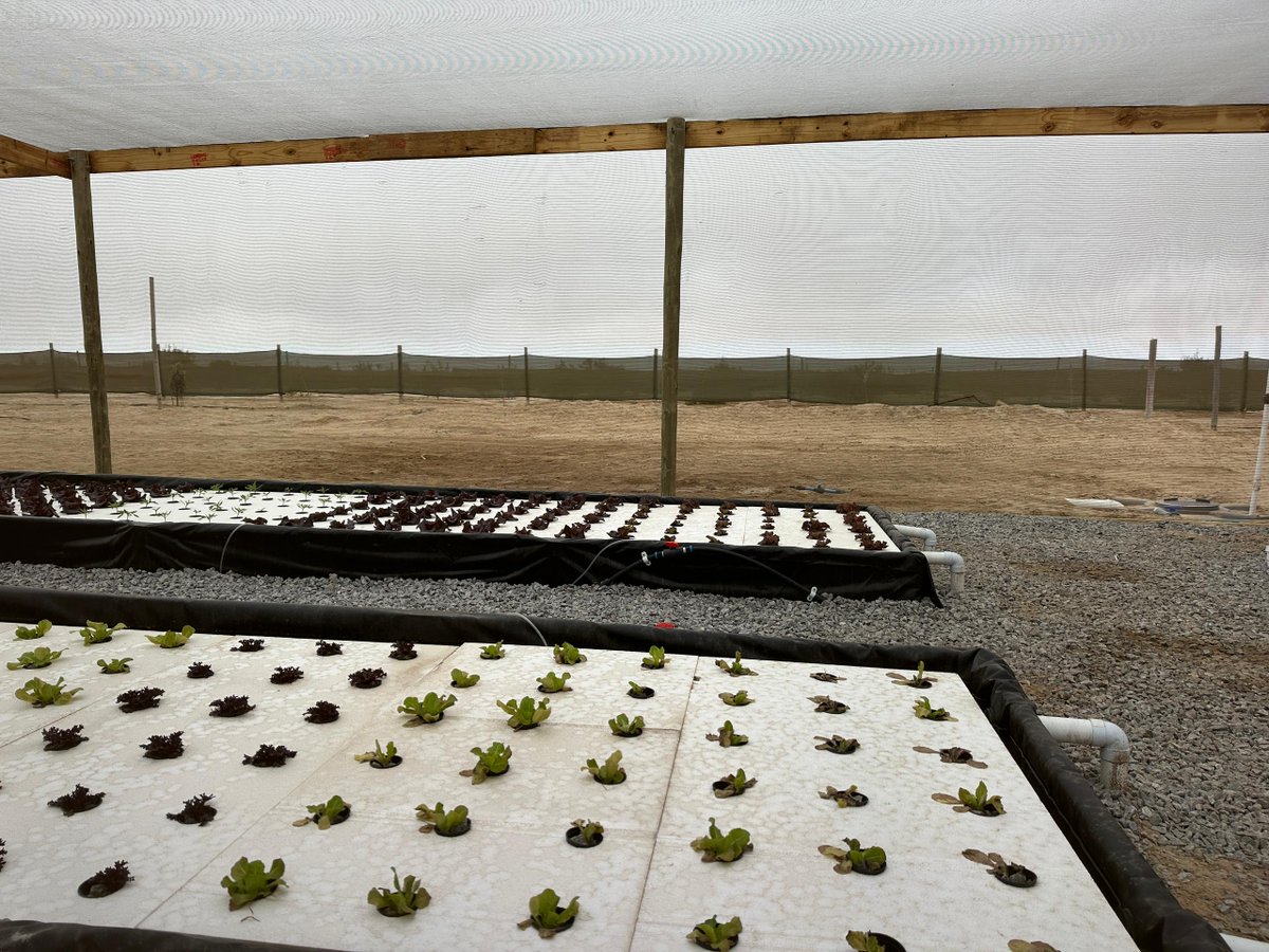 Turning vision into reality! 🌿 On Sept 27th, we inaugurated and handed over the Aquaponic Project’s demo system to Sam Najuma Campus, Henties Bay. Exciting times for sustainable farming at UNAM! 🌱 #Aquaponics #Sustainability