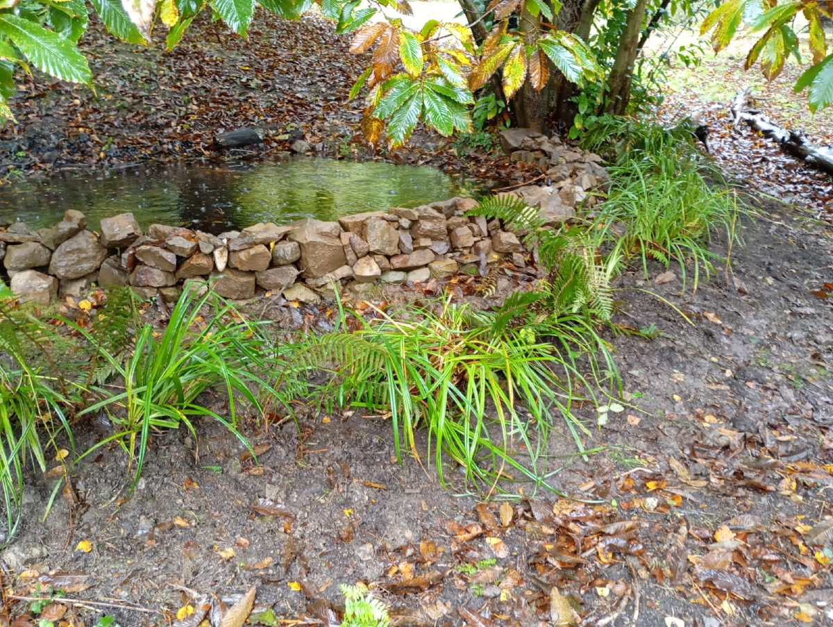 StepsforLIFE2's tweet photo. 💧Avanzamos con las charcas para #anfibios con la plantación de vegetación en las de #Cabañes ¡Espectacular trabajo de nuestros compañeros de #Amica y #Ampros, gracias!

#herpetofauna #biodiversidad #reptiles #anfibios #regenerandohabitad #stepsforlife #LIFE #aves https://t.co/gScohtcQFC