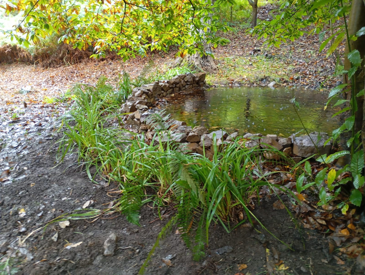 StepsforLIFE2's tweet photo. 💧Avanzamos con las charcas para #anfibios con la plantación de vegetación en las de #Cabañes ¡Espectacular trabajo de nuestros compañeros de #Amica y #Ampros, gracias!

#herpetofauna #biodiversidad #reptiles #anfibios #regenerandohabitad #stepsforlife #LIFE #aves https://t.co/gScohtcQFC