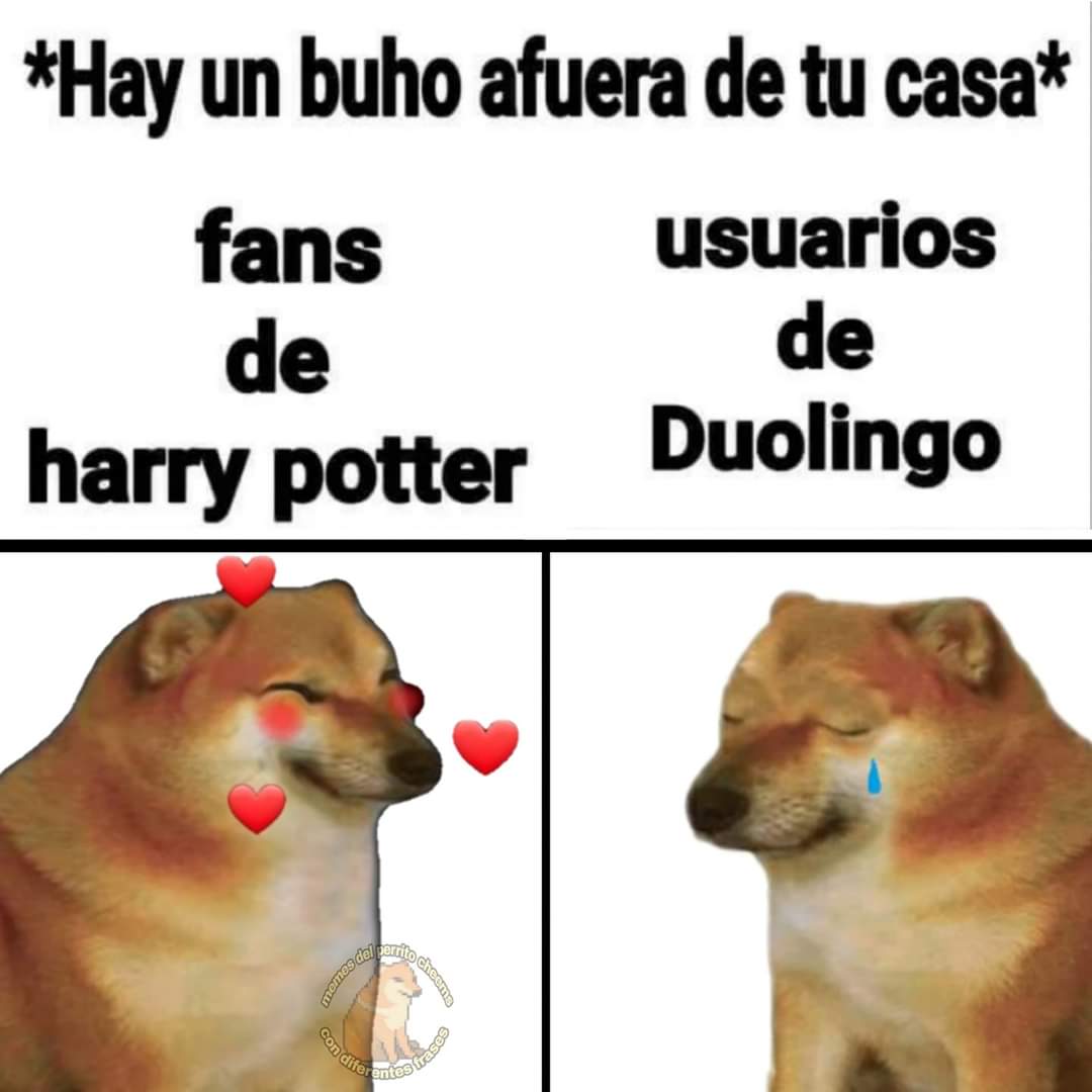 ymuchosmemes's tweet photo. https://t.co/zAqrKEpnz4