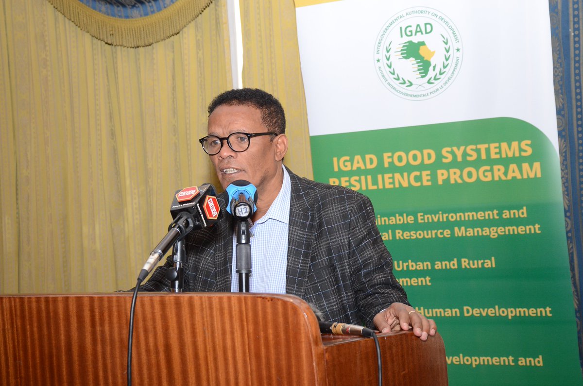 IGADsecretariat's tweet photo. 🌱 #IGADFoodResilienceSystems | #AFSHS | #FoodResilienceforAfrica | #FoodSystemsProgrammes

Event Recap:
IGAD, through its Food Systems Resilience Programme (FSRP), in partnership with the Kenya Agricultural and Livestock Research Organisation (@kalromkulima) and with support from the @WorldBank, recently convened a regional write-shop with IGAD Member States and Technical Partners. This gathering served as a follow-up to the Africa Fertiliser and Soil Health Summit (AFSHS) held in May 2024. The primary focus was on discussing outcomes, defining follow-up actions, and developing a roadmap for implementing the Summit’s Declaration. The ultimate aim: enhancing food security, boosting agricultural productivity, and supporting the economic growth of African nations.

Highlights of the Opening Session:
- The session was officiated by IGAD's, @DrEsheteDejen, and Dr David Kamau from @kalromkulima.
Key Discussion Points:
- The meeting builds on the AFSHS's action plans, which highlighted Africa's current low fertiliser consumption and application rates. These are insufficient to meet agricultural production targets or replenish vital soil nutrients.

- Soil health is fundamental for improving productivity and food security in the region. The discussions centred on developing action plans, policy recommendations, and securing commitments from governments and stakeholders to invest in sustainable agricultural practices. Key objectives include:
- Increasing the efficient use of fertilisers.
- Promoting sustainable soil health methods to guarantee food security and economic growth.
- Addressing challenges and exploring opportunities related to soil health and fertiliser use across African countries.

Outcome Focus: Participants will also share knowledge on best practices for soil hub creation, drawing from successful models in other African regions. The meeting aims to draft a comprehensive proposal and strategy for the formation of a Soil Hub, enhancing regional collaboration and soil health management.
Stay tuned for more updates on the action plan for sustainable agriculture and resilient food systems in Africa. 🌍