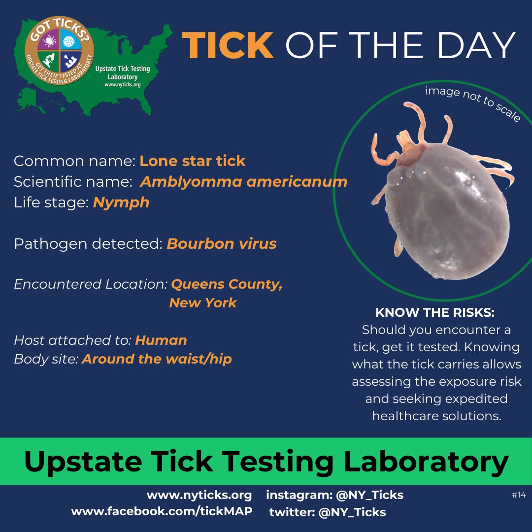 NY_Ticks's tweet photo. Tick of the Day: A Lone Star #Tick found on a person in #QueensCounty, #NewYork has tested positive for #BourbonVirus. 

Protect yourself: get ticks tested, know the risks, and seek medical attention if exposed. https://t.co/gnNspC52KY