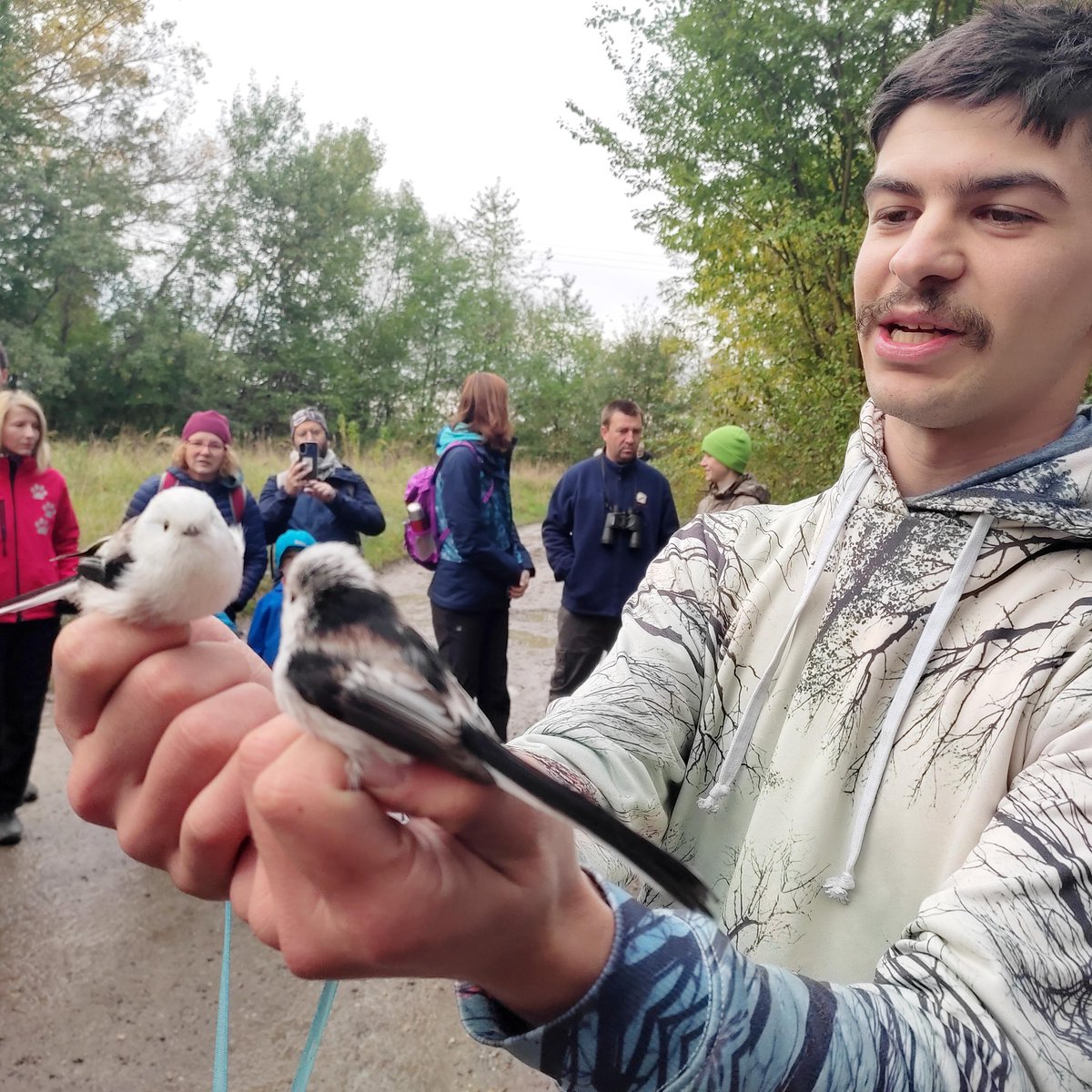 birdlifecz's tweet photo. I přes nepříznivé počasí se téměř 500 lidí po celém Česku zúčastnilo vycházek v rámci Festivalu ptactva, kterým oslavujeme ptačí migraci. Do mezinárodní akce #EuroBirdwatch se každoročně zapojují desítky partnerských organizací @BirdLifeEurope.
https://t.co/0mrgAXoa6p https://t.co/qFdEAz30N8