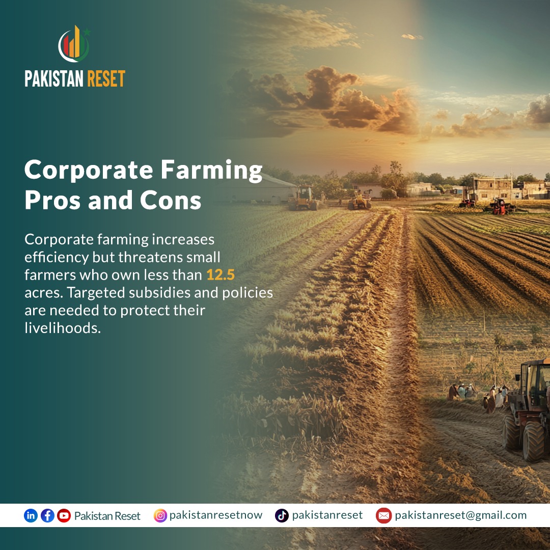 pakistanreset's tweet photo. Corporate Farming: Benefits &amp; Risks 

Corporate farming boosts efficiency but endangers small farmers owning less than 12.5 acres. We need targeted subsidies and policies to safeguard their futures.

#CorporateFarming #SupportSmallFarmers #Agriculture #PakistanReset https://t.co/4kQeufdw0X