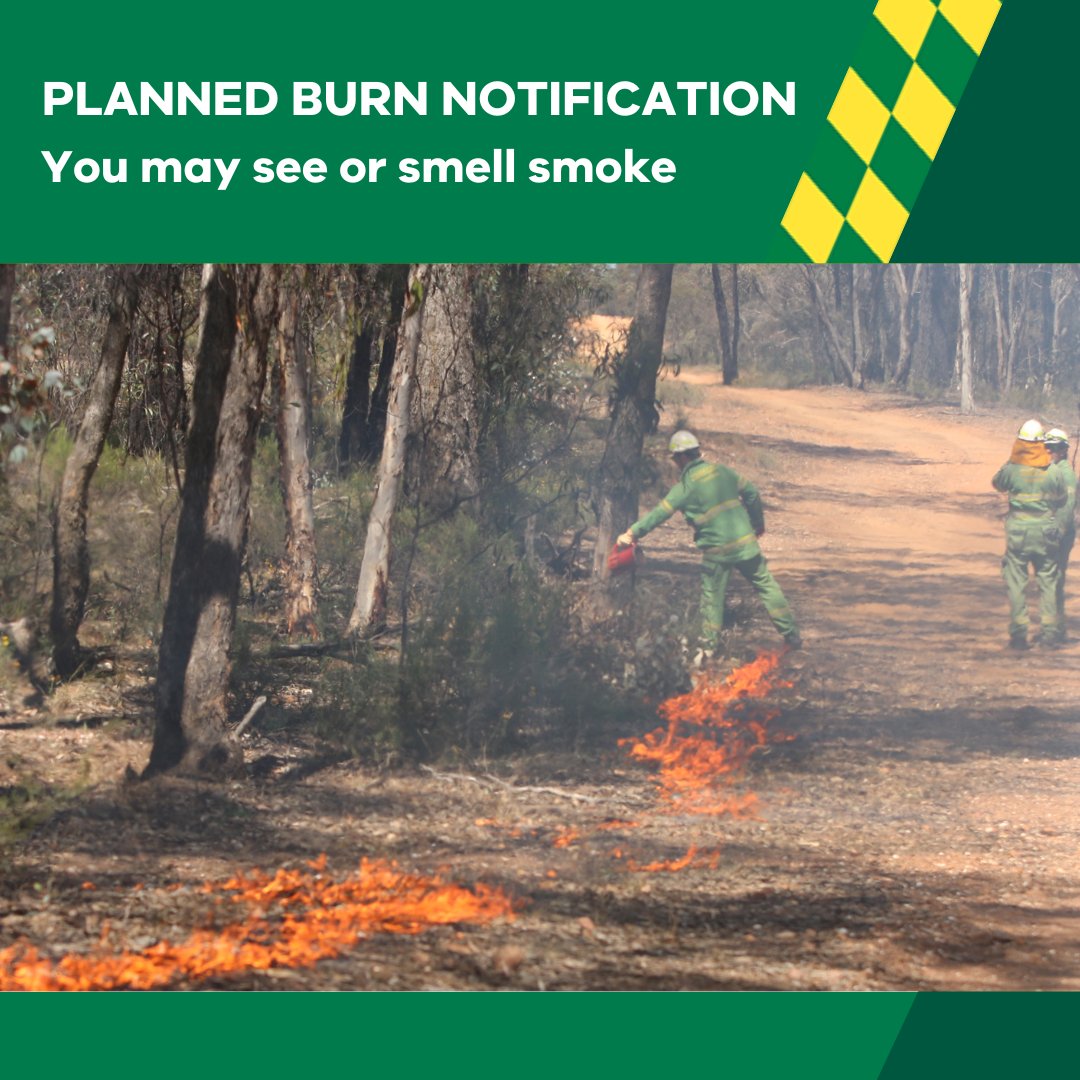 FFMVic's tweet photo. Our crews are #PlannedBurning in #StArnaud and #Wedderburn in the coming days. You may see or smell smoke. More info at: https://t.co/ag3nlsm9EM #FFMVic https://t.co/wVMp3wcJ1h