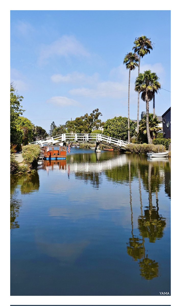 Yama_VP's tweet image. •Walk In The Venice Canals

#VeniceCanals #California #Urban #Reflection #Architecture #Palms #Landscape #LosAngeles #USA
#Photography
#Yama山