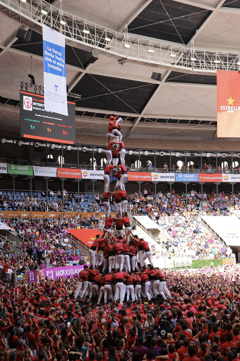 Laia Torrell tweet media