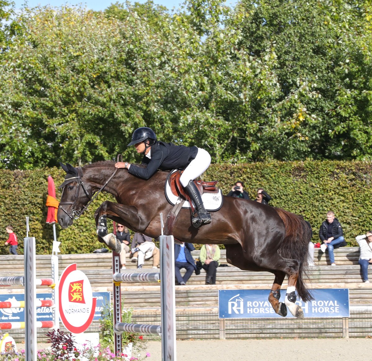 Journal Le Cheval tweet media