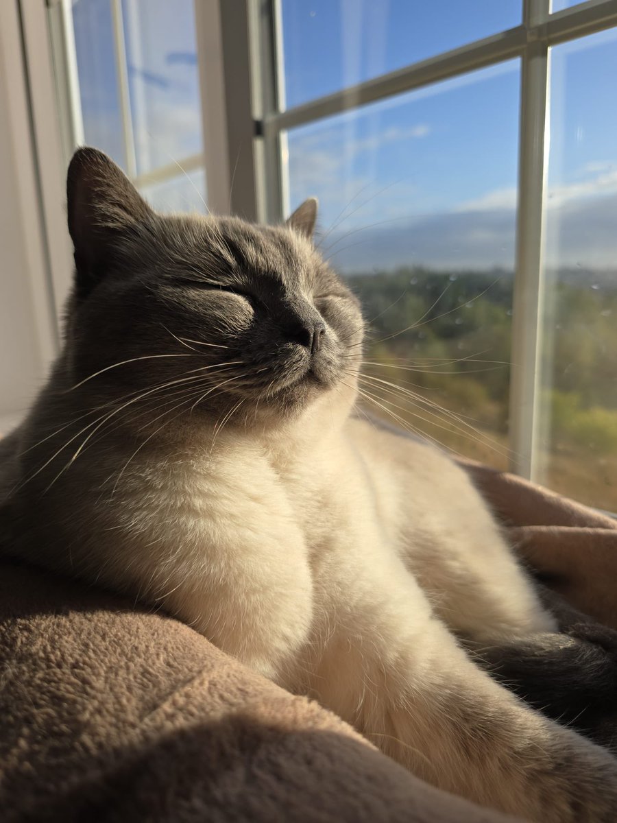 SuperKingAndy tweet media