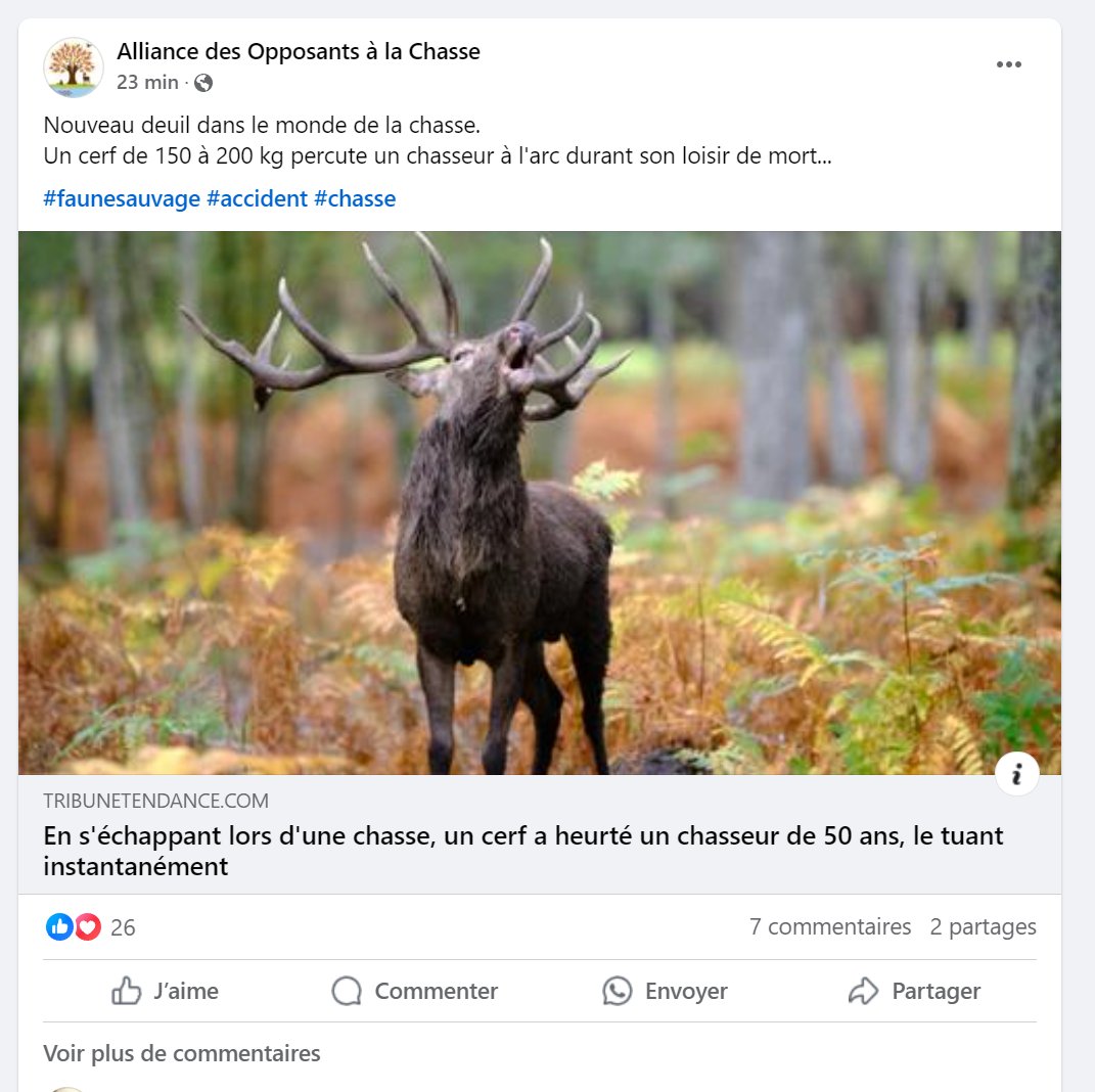 Chasse Passion tweet media