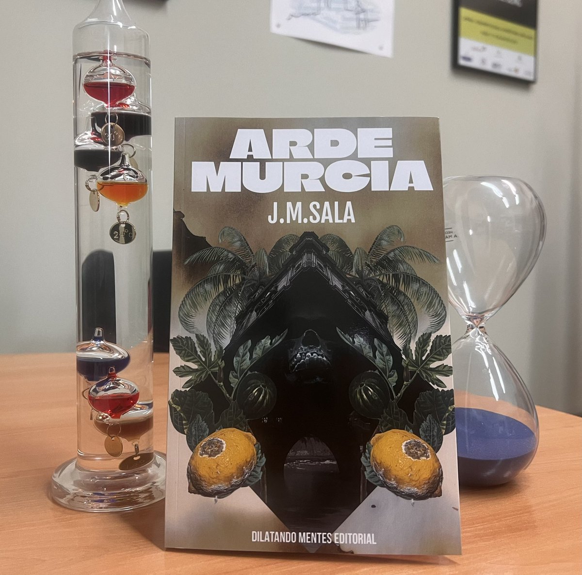 Consuelo Abellan tweet media