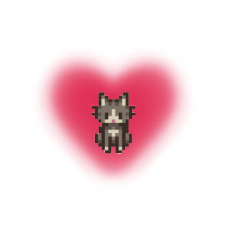 11:11 familia reveal