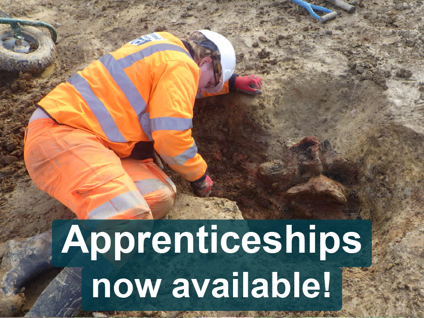 ArchSouthEast's tweet photo. New apprenticeship at ASE!🎉

Want to be an archaeologist? Don’t have a degree?

Earn £26,905 pa excavating, recording and processing archaeology with ASE! And spend 20% of your time training or studying with Cirencester College!

Closes 21 Oct. Apply now: https://t.co/aWGYKh3qqA https://t.co/DlNZtriPkG