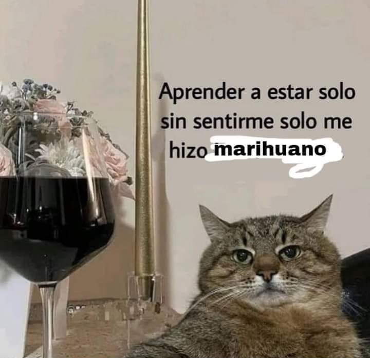 El Paragua Venenoso tweet media