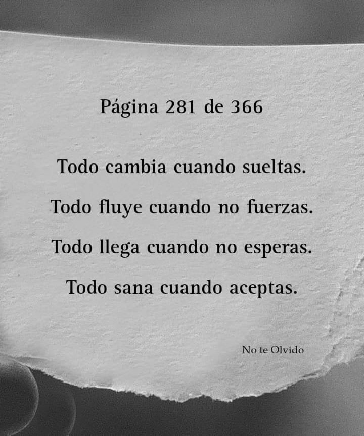 𝐩𝐲_𝑯𝒖𝒈𝒐 tweet media