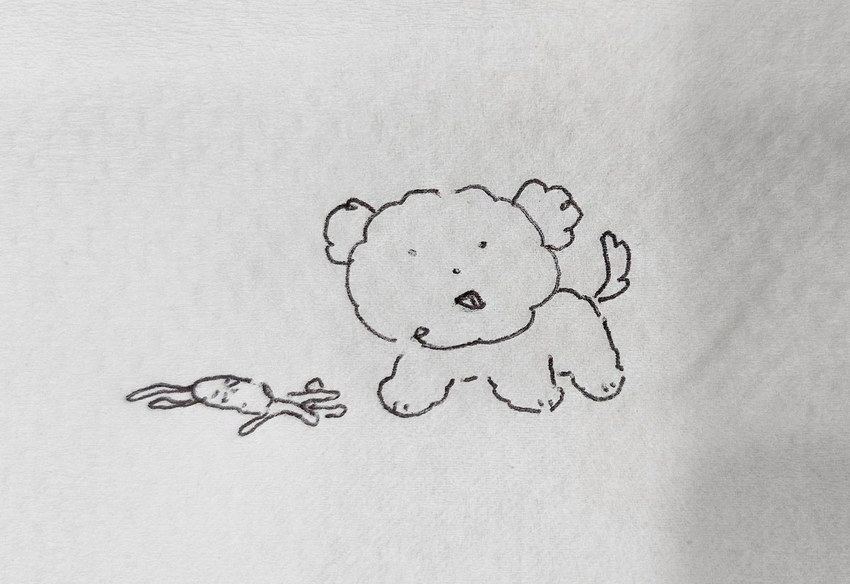 아 진짜 멍멍 귀엽다 채고