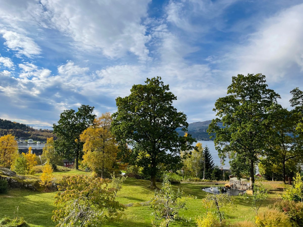 Anne Blanchard (@_minibookworm) on Twitter photo Splendid opening session on RRI by Cecilie Mathiesen from <a href="/forskningsradet/">Norges forskningsråd</a> at the @AFINOnetwork autumn school: “Don’t be afraid to tell us at the RCN when things haven’t gone as planned in your projects, we’re here to help!” <a href="/vitenskapsteori/">vitenskapsteori.bsky.social</a> Splendid opening session on RRI by Cecilie Mathiesen from <a href="/forskningsradet/">Norges forskningsråd</a> at the @AFINOnetwork autumn school: “Don’t be afraid to tell us at the RCN when things haven’t gone as planned in your projects, we’re here to help!” <a href="/vitenskapsteori/">vitenskapsteori.bsky.social</a>