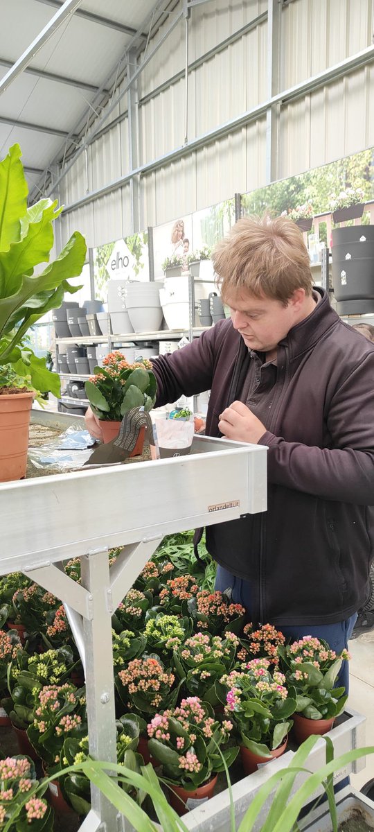 📢 Fundación MAPFRE  y Fundación FUNDATUL se unen para promover la inclusión social de 13 chic@s con necesidades de apoyos 

#JuntosSomosCapaces #Discapacidad #somosfundatul #FundaciónMAPFRE #larecompensaemocional