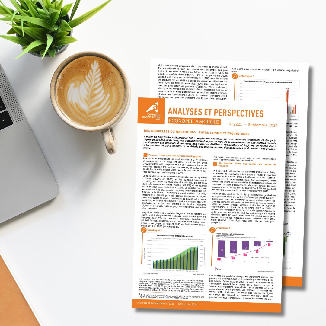 🆕Nouveau "Analyses&amp;Perspectives" des #ChambresAgri

L'agriculture #bio recule : baisse de consommation, débouchés réduits et revenus impactés.
 
🔙Recul des surfaces bio
📉Marché atone et pertes de volumes
📊Conjoncture par filières
🌿 Espoir de reprise?

urlr.me/cYJpK