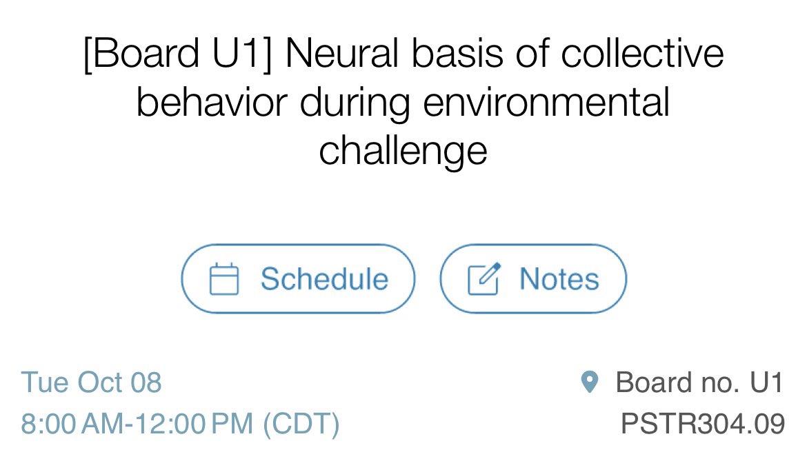 A little late to the party but I’m here #SfN24! I’m presenting a poster Tuesday morning (U1) on group coordination during thermal challenge! Come by and say hi 🙋🏻‍♀️🤗