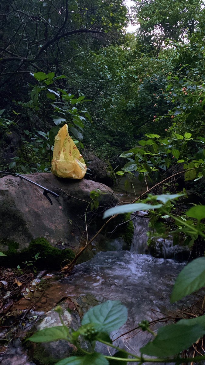 Poke Plastic tweet media