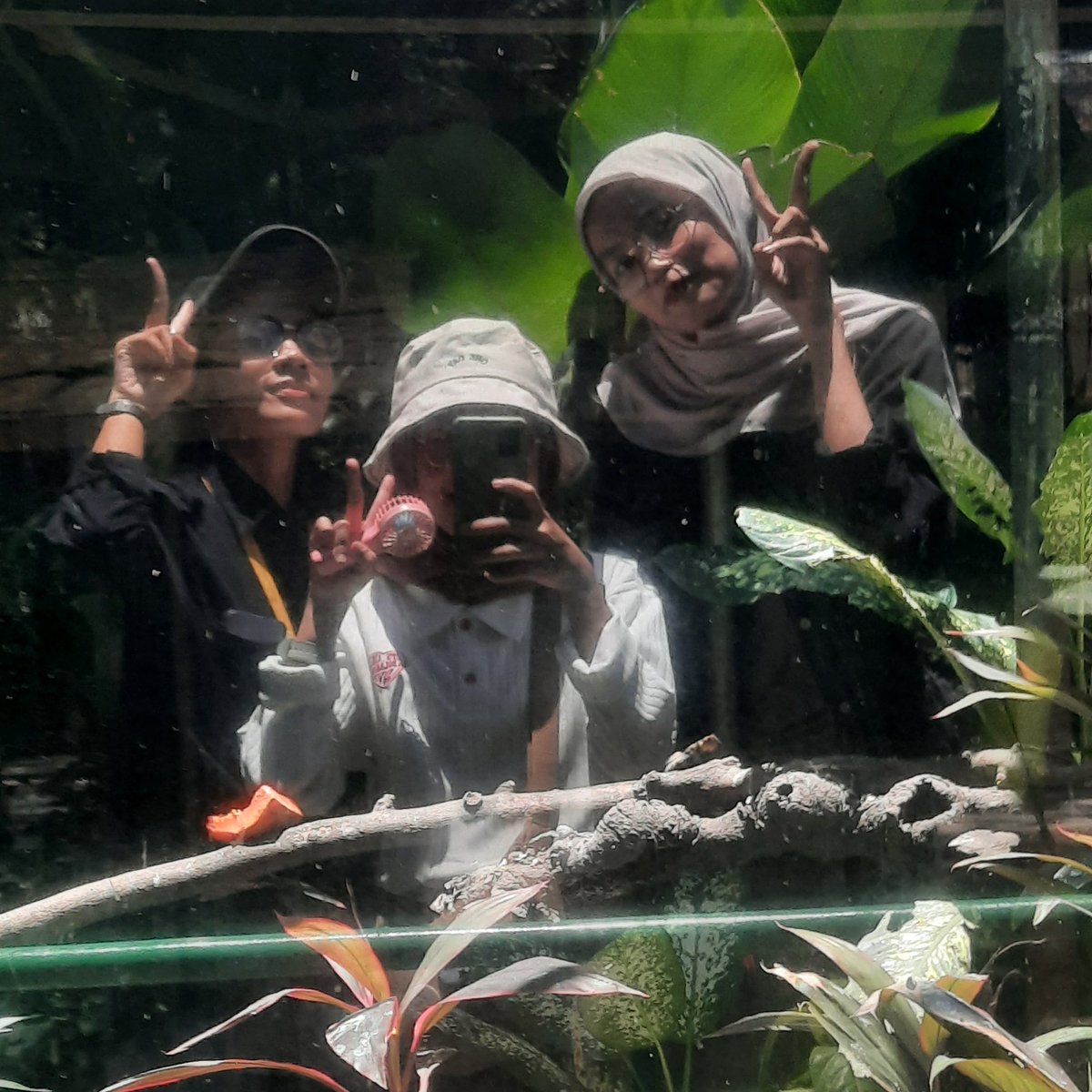 matchamomile's tweet photo. once upon a time at Bonbin di siang hari yg puanas🐾🌿☀️ https://t.co/fzEaZekelT