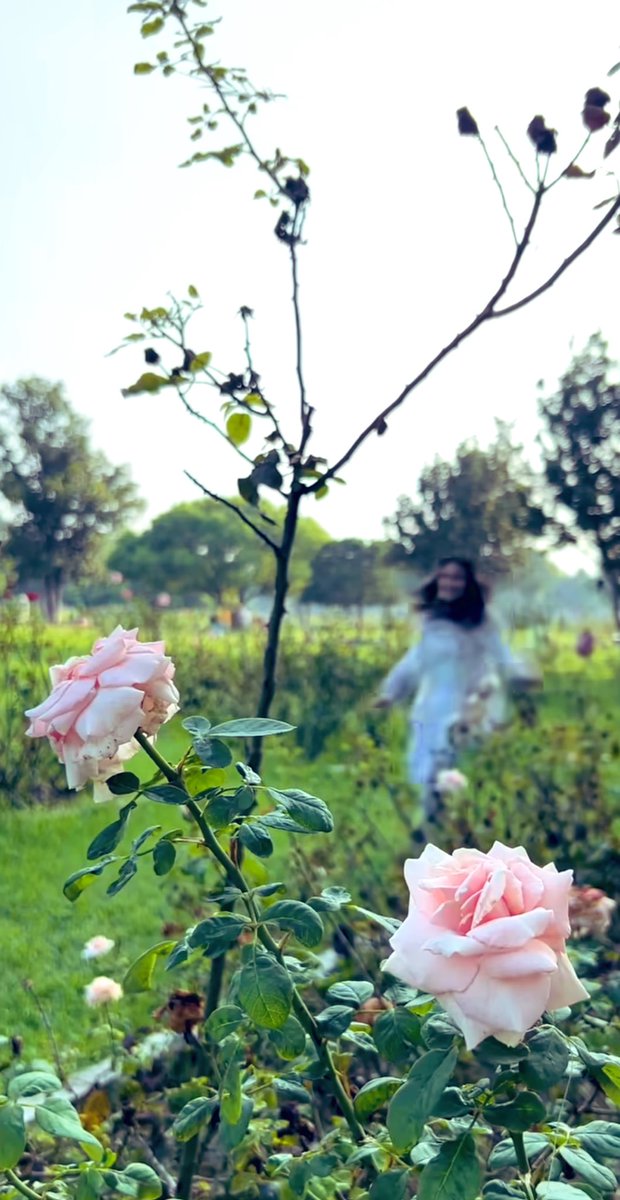 अगर आप x पर दुःखी शायरी पढ़ कर
,”ख़ुद को दुःखी महसूस कर रहे है” तो मान लीजिए आप में “भावनायें अभी ज़िंदा है”….!!!😀