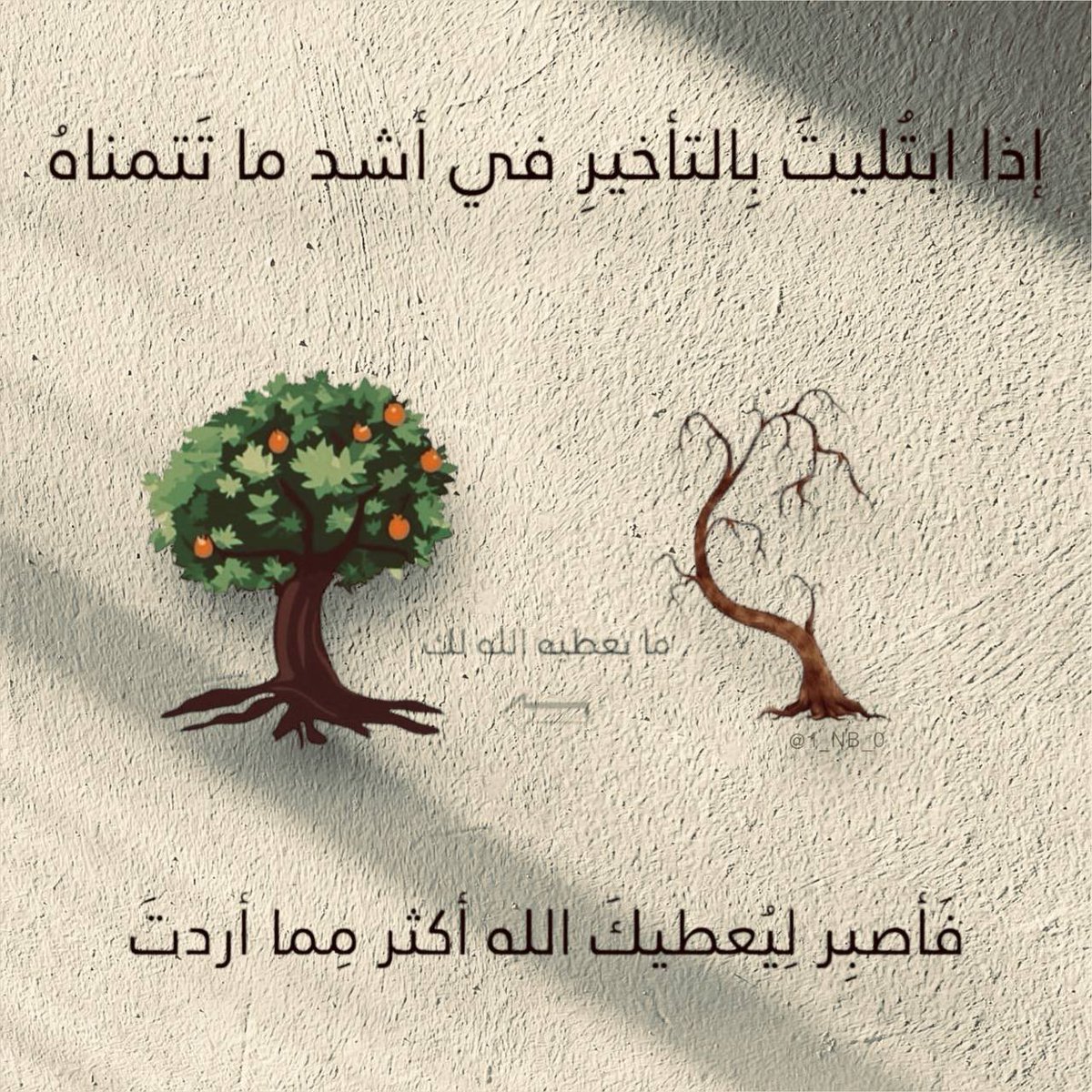 ksa1_hh's tweet photo. " على قَدْرِ الصّبر يأتي الجَبر "🍃

قد يقطع الله أسباب الفَرَج فتظنه يعجّزك
ويترك اليأس يأكل قلبك بلا استجابة؛….
.
.
-لأنه يعلم ��لاوة الجبر بعد اليأس..
فيرفعك لدرجة المضطر الذي ينادي بلا كلل..

فيجيب دعاءك ويلبي نداءك🍃 https://t.co/eanJaLyjUU