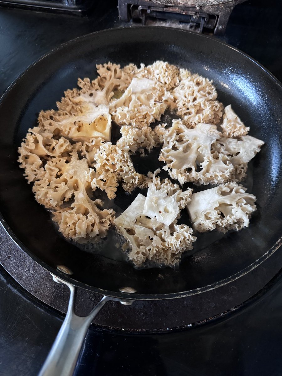 quantockenviro's tweet image. Cooking a giant mushroomy thing in the #Quantocks 🤗🍄 #mushroom