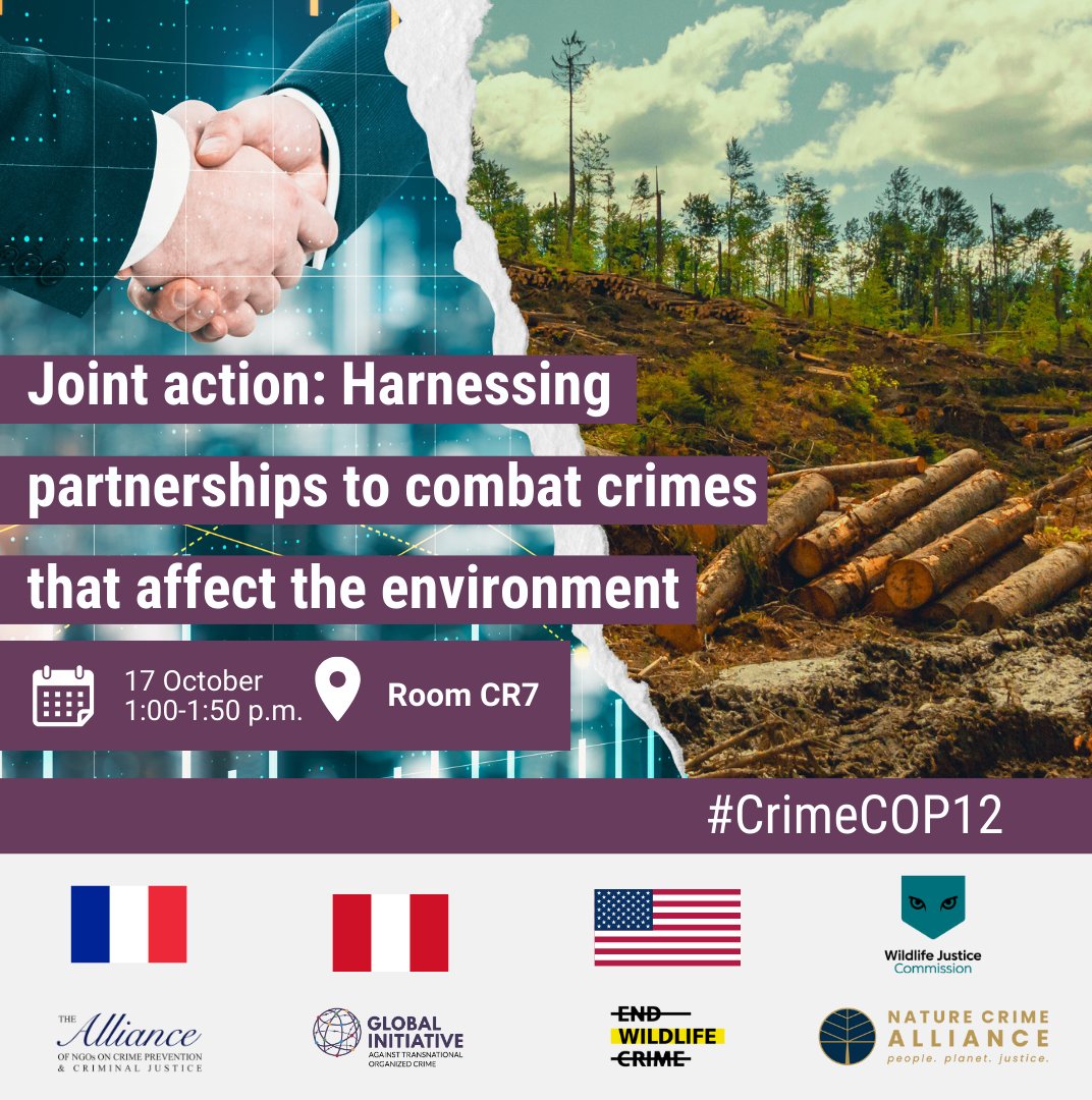 Wildlife Justice Commission (@wjcommission) on Twitter photo Join our side-event at #CrimeCOP12 in #Vienna next week!
🗓 Date: 17 October
⏰ Time: 1:00 – 1:50 PM
📍 Location: Vienna International Centre
This event will explore the critical role of civil society organisations in combatting crimes that affect the environment by providing Join our side-event at #CrimeCOP12 in #Vienna next week!
🗓 Date: 17 October
⏰ Time: 1:00 – 1:50 PM
📍 Location: Vienna International Centre
This event will explore the critical role of civil society organisations in combatting crimes that affect the environment by providing
