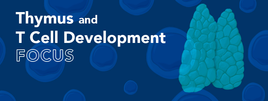 Zhijuan Qiu (@zhijuan_jexpmed) on Twitter photo 1/6 In the Oct issue <a href="/JExpMed/">Journal of Experimental Medicine</a>, we publish a series of reviews on #Thymus and #TCell Development (rupress.org/jem/search-res…). We would like to thank all the authors for this incredible and coordinated effort!
#Thymus #TCellDevelopment #Tolerance #Autoimmunity #Regeneration 1/6 In the Oct issue <a href="/JExpMed/">Journal of Experimental Medicine</a>, we publish a series of reviews on #Thymus and #TCell Development (rupress.org/jem/search-res…). We would like to thank all the authors for this incredible and coordinated effort!
#Thymus #TCellDevelopment #Tolerance #Autoimmunity #Regeneration