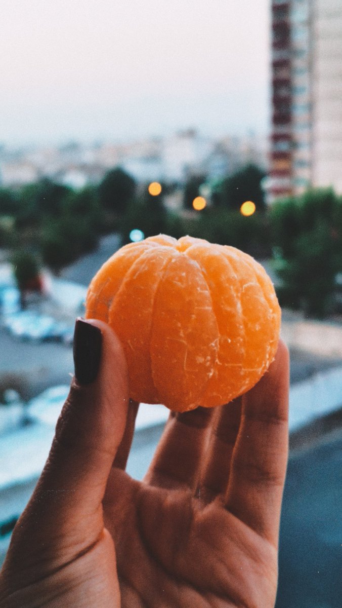 بوش🤍