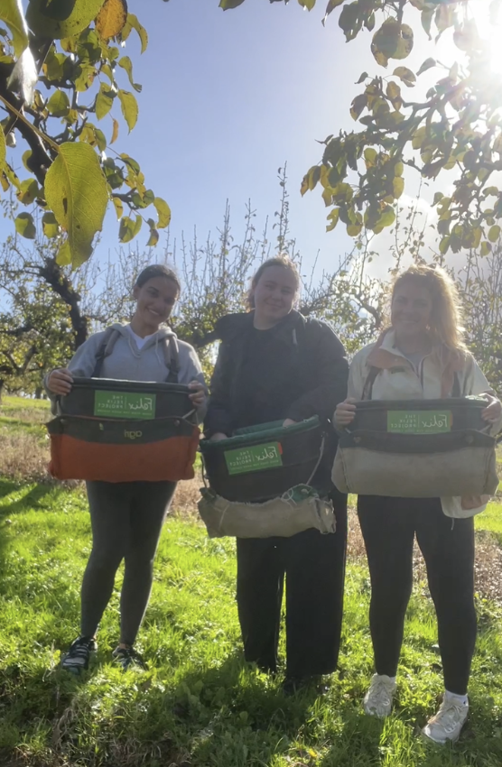 firstlightgroup's tweet image. Some of us are OOO today - Out On Orchard 🍎

As part of our volunteering efforts, firstlighters Ursula, Holly and Maya are out fruit picking for the Felix Project.