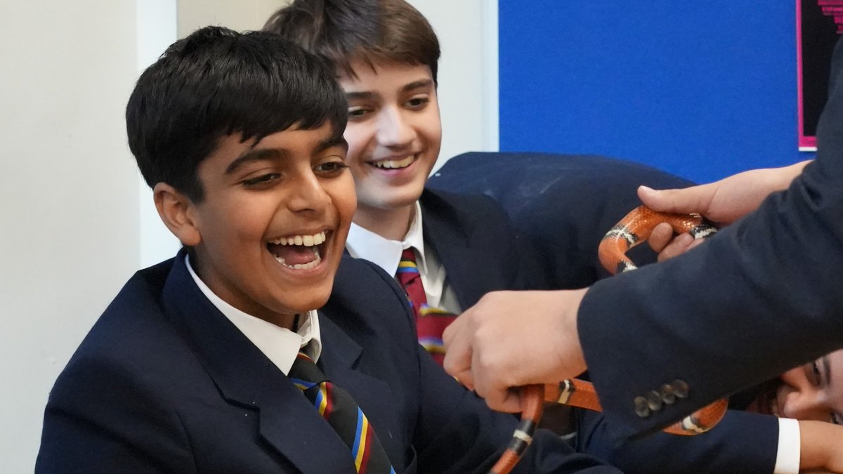 St Albans School tweet media