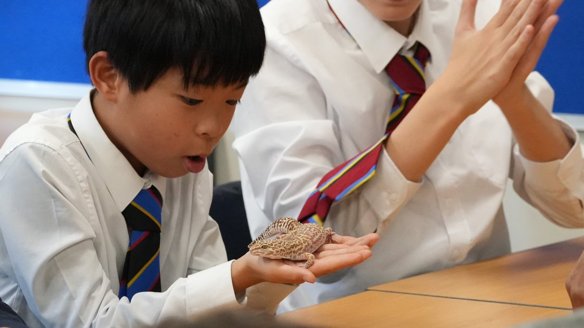 Last Friday some unusual visitors crawled and slithered their way into a First Form Science lesson... 

Our young pupils had great fun learning about Leopard geckos, milk snakes and the colour-changing Panther chameleon from visiting Biologist Mr Khan.