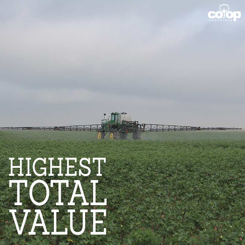 coop_advantage's tweet photo. Cooperatives can help you get the highest total value for your crop. https://t.co/Z5cqCC1AlY