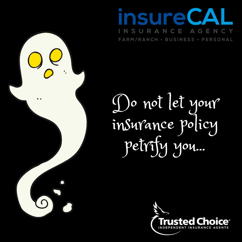 insureCAL's tweet photo. Halloween may be scary but your insurance doesn't have to be. Your Trusted Choice Independent Agent will take the fear out of your policy.

Visit our website at https://t.co/BoQdrUUeGG https://t.co/VpUpSzwjez